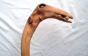 dsc06664