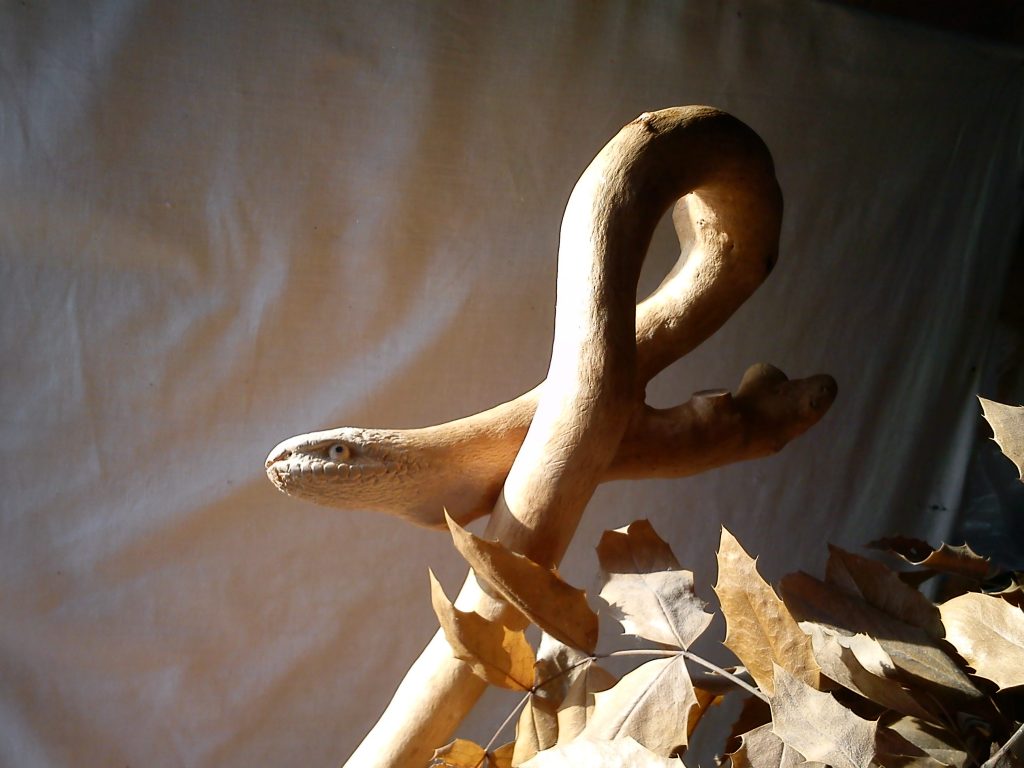 dsc07506